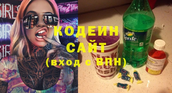 молекула духа Арсеньев