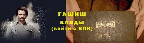 молекула духа Арсеньев