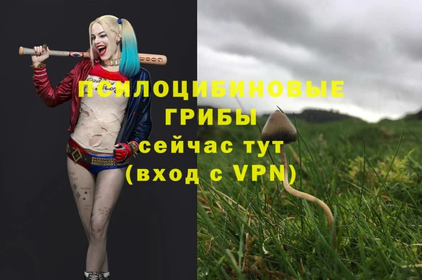 мяу мяу кристалл Армянск